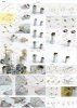 Pontos 37017F1 USS CA-35 Indianapolis 1945 Detail Up Set ADVANCED (1:350)